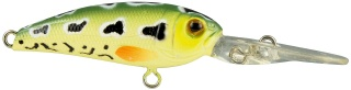 0001_Spro_Chibi_Shad_40_LL_[Leopard_Frog].jpg
